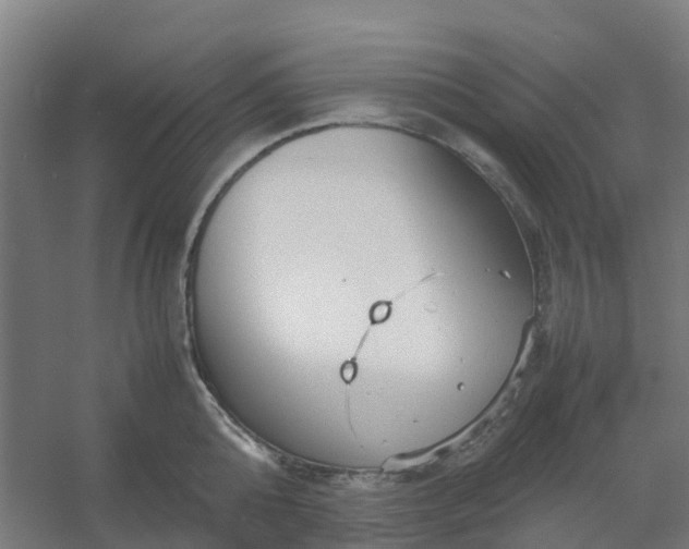 X0000054370808200508121539