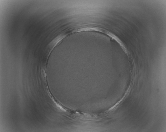 X0000054370809200508121539