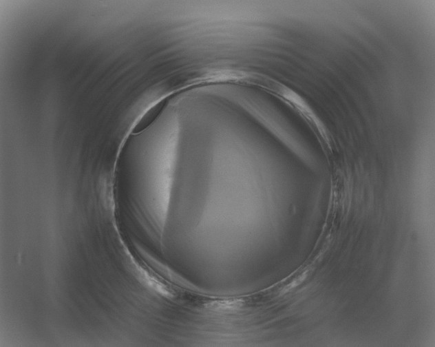 X0000054370810200508121538