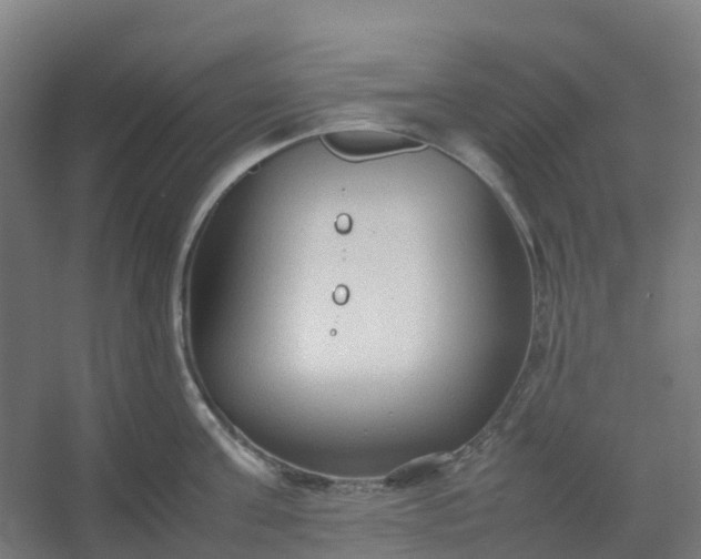 X0000054370811200508121538