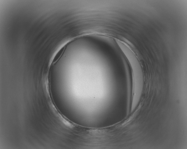 X0000054370812200508121538