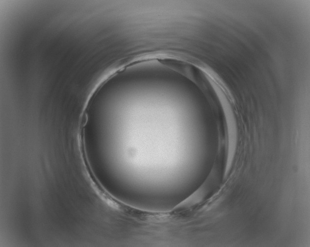 X0000054370813200508121538