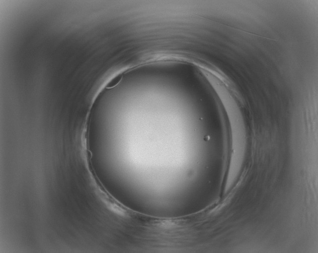 X0000054370814200508121538