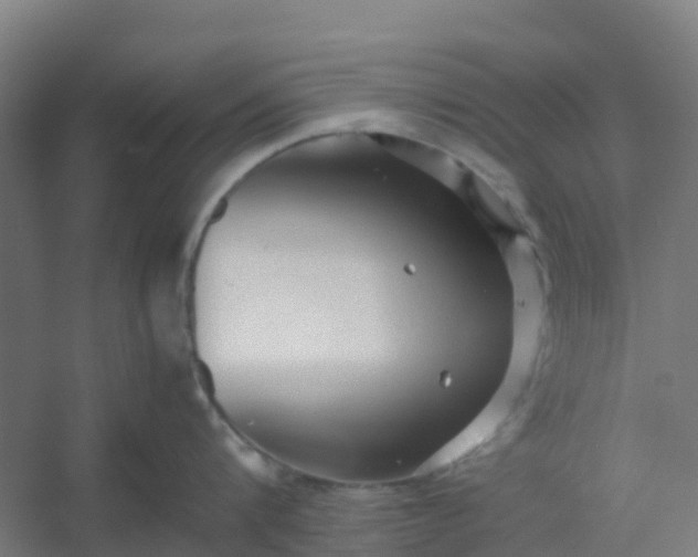 X0000054370816200508121538