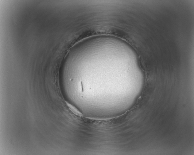 X0000054370817200508121538