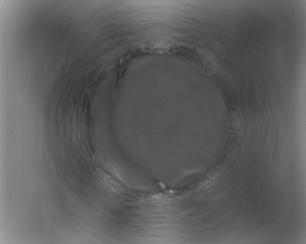 X0000054370818200508121538