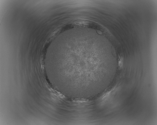 X0000054370819200508121538