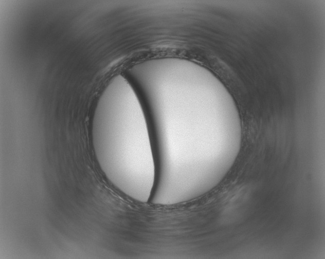 X0000054370821200508121538