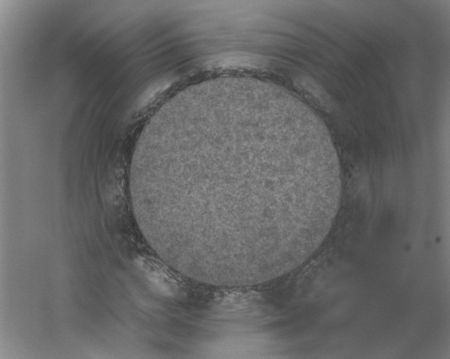 X0000054370824200508121538