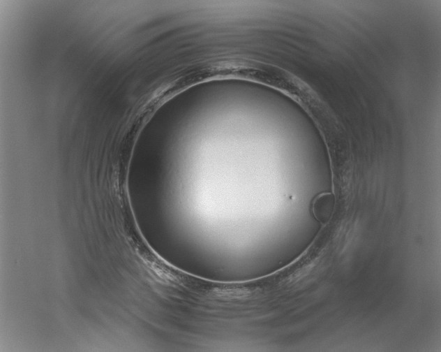 X0000054370825200508121538