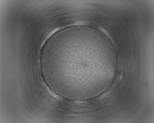 X0000054370827200508121538