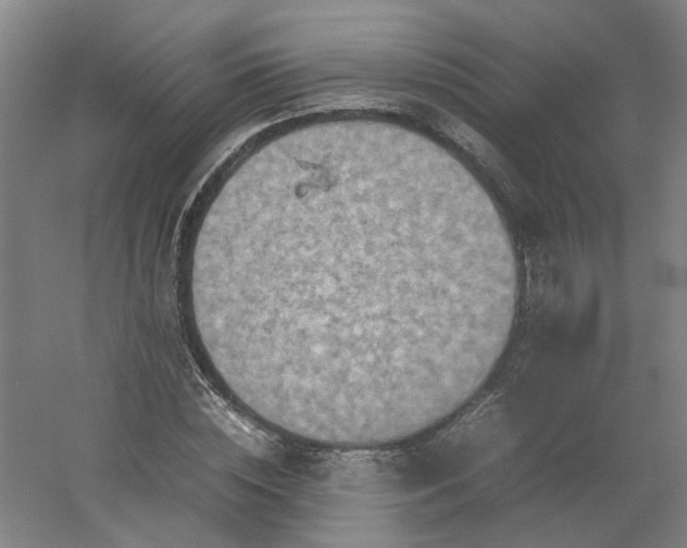 X0000054370828200508121538