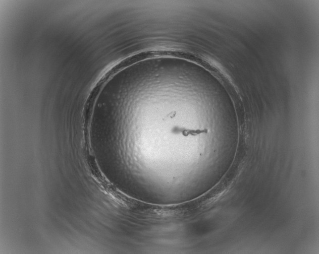 X0000054370829200508121538