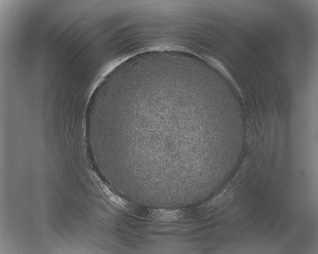 X0000054370831200508121538