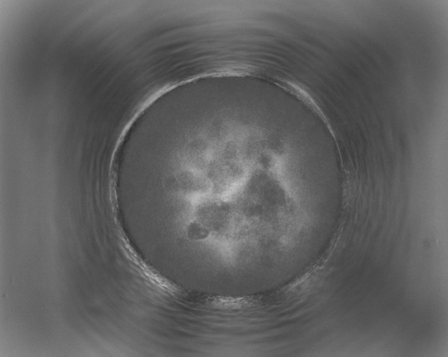 X0000054370835200508121538