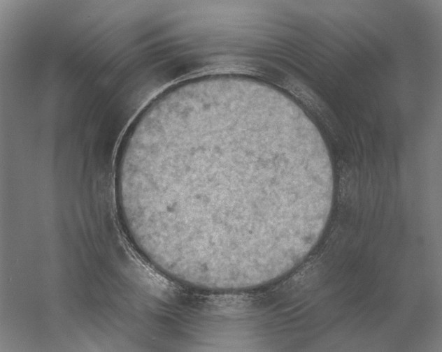 X0000054370836200508121538