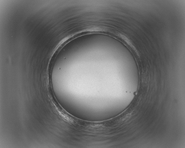 X0000054370837200508121538