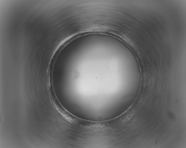 X0000054370838200508121538