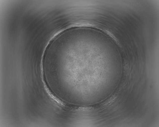 X0000054370840200508121538