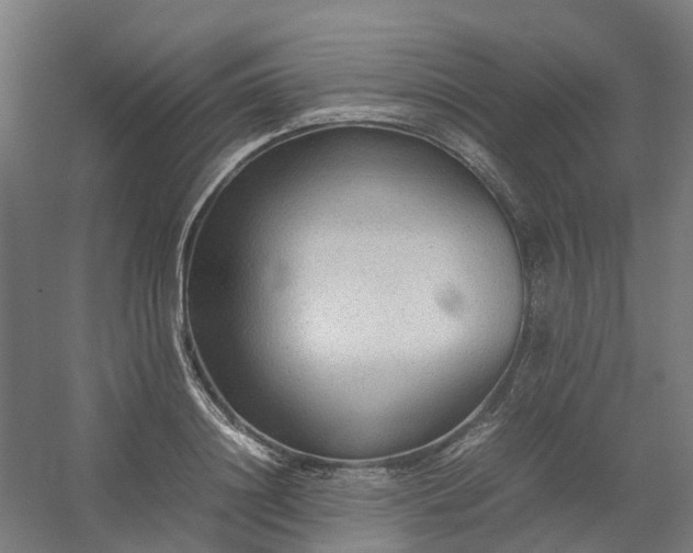 X0000054370844200508121538