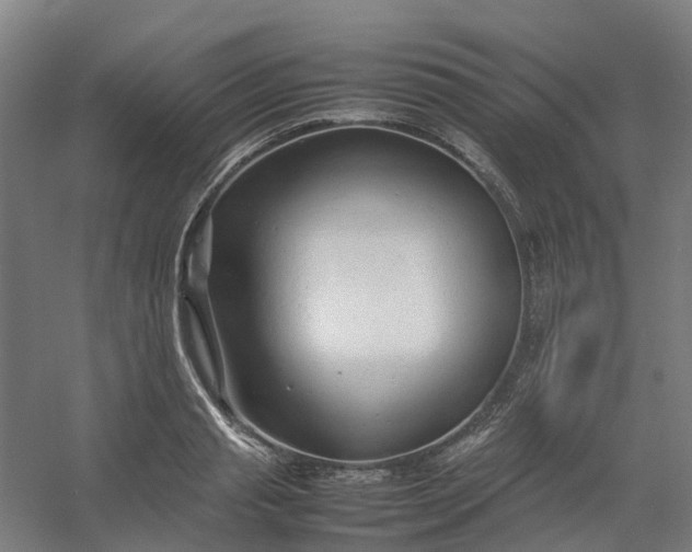 X0000054370845200508121538