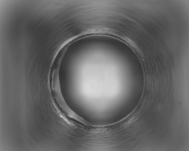 X0000054370846200508121538