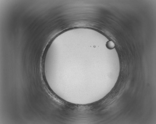 X0000054370848200508121538