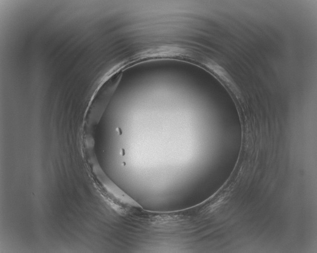 X0000054370850200508121538