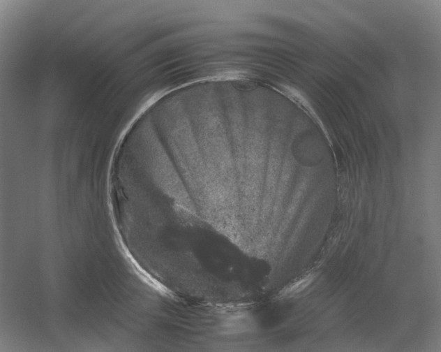 X0000054370851200508121538