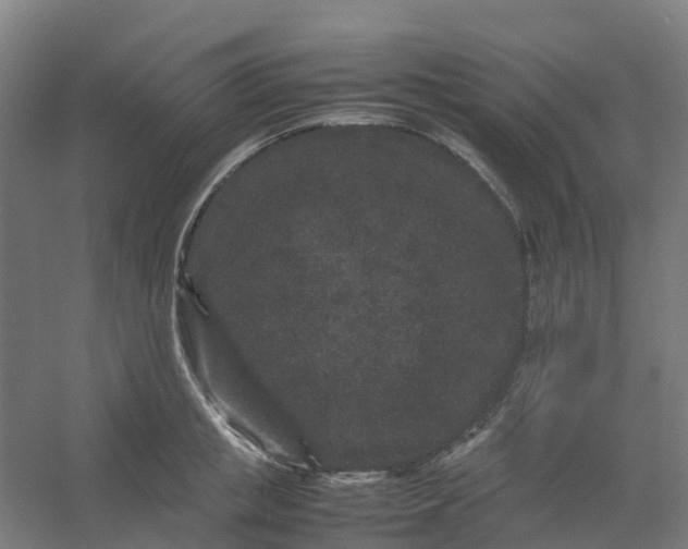 X0000054370853200508121538