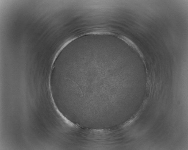 X0000054370855200508121538