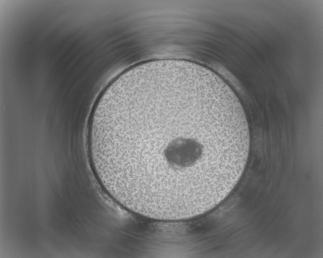 X0000054370856200508121538