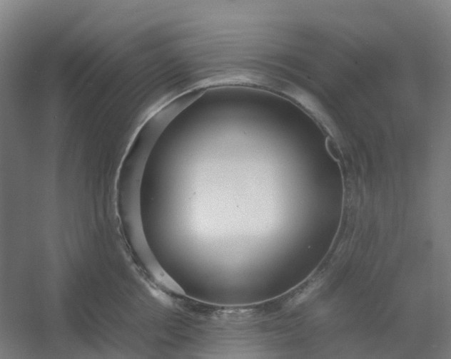 X0000054370858200508121538