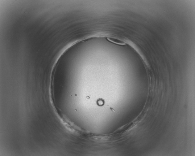 X0000054370861200508121538