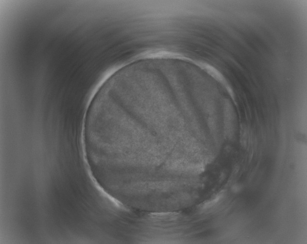 X0000054370863200508121538