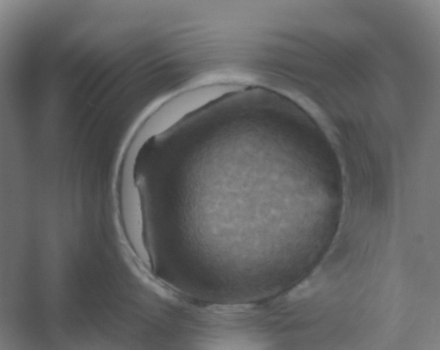 X0000054370864200508121538