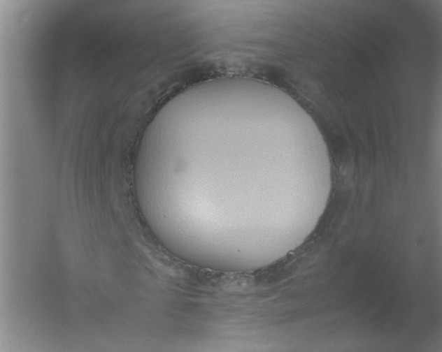 X0000054370865200508121538