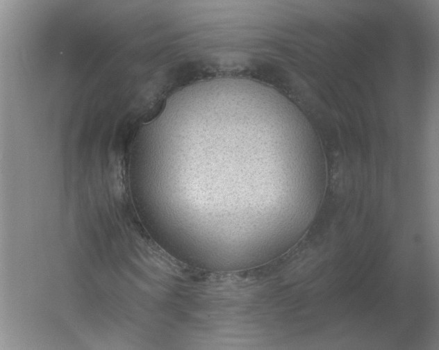 X0000054370866200508121538