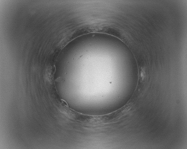 X0000054370867200508121538