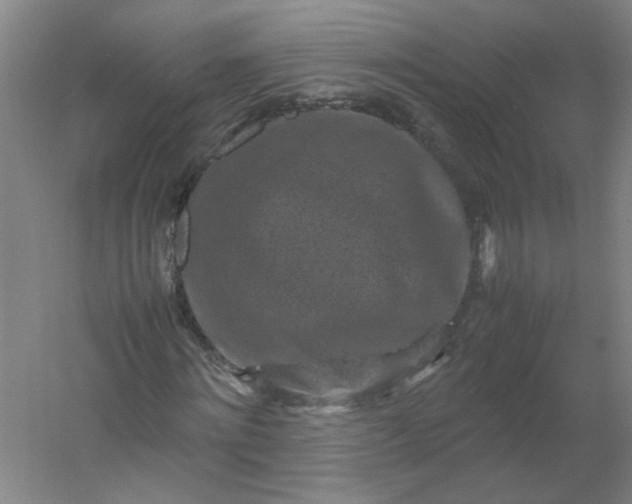 X0000054370868200508121537