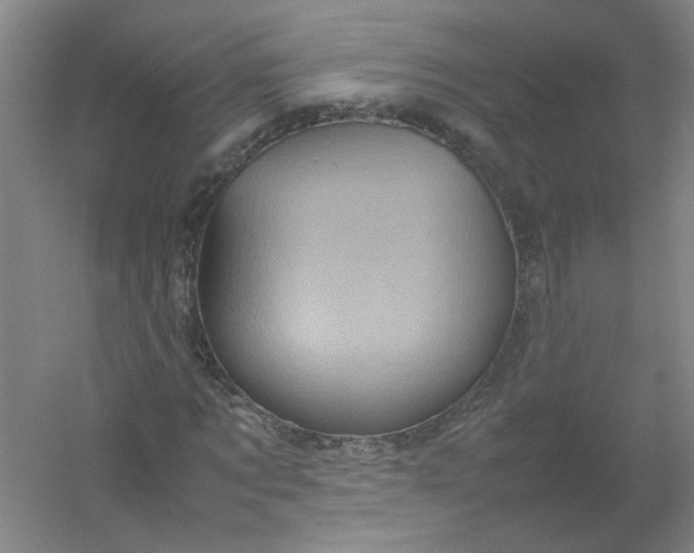 X0000054370869200508121537