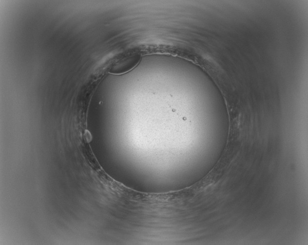 X0000054370870200508121537