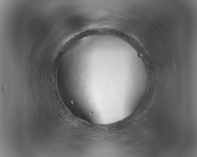 X0000054370871200508121537