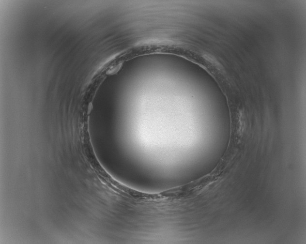 X0000054370872200508121537