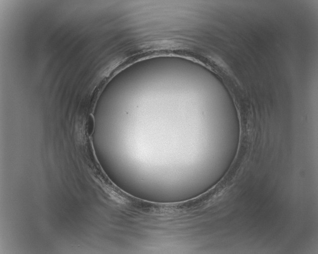 X0000054370873200508121537