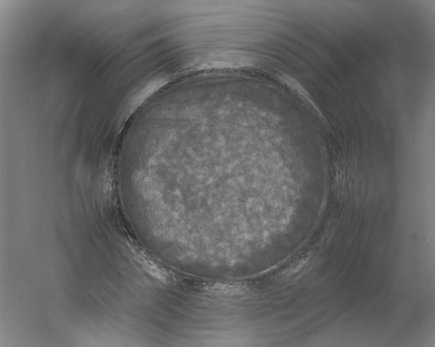 X0000054370874200508121537