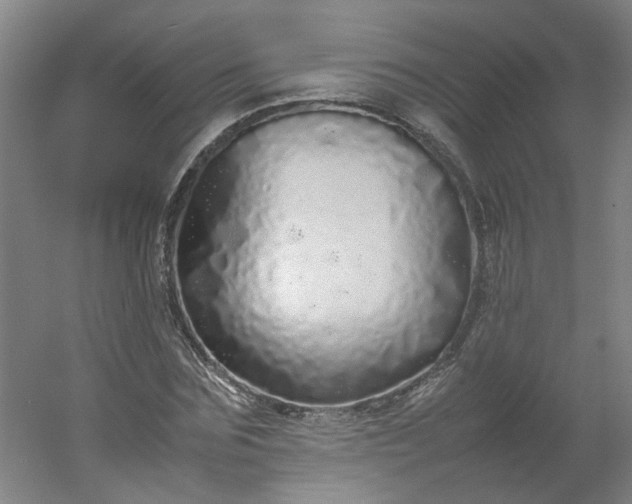 X0000054370875200508121537