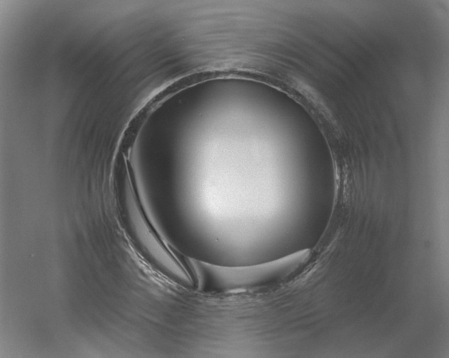 X0000054370876200508121537