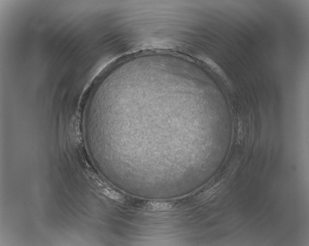 X0000054370878200508121537