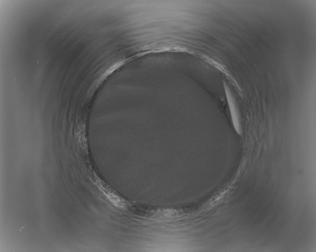 X0000054370881200508121537